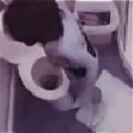 An overhead camera allows us to observe 4 cute girls pooping & wiping themselves. Clearly shows poop in toilet. No audio, but nice clip.
